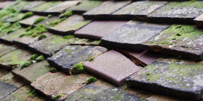 Brewood roof repair costs